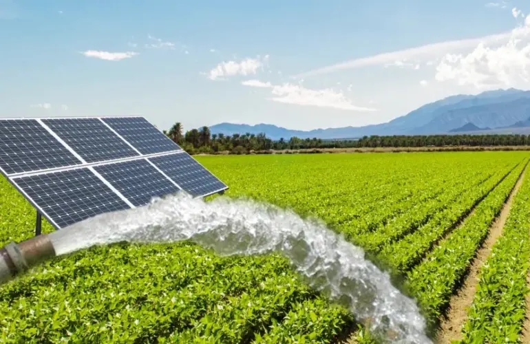 Best Rooftop Solar Company in Indore MP-Solar Panel Installation-SolarFusion