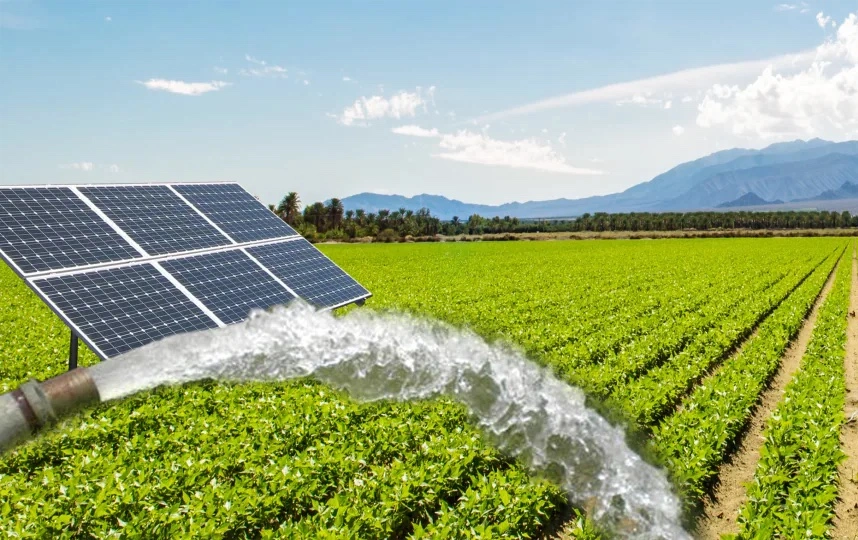 Best Rooftop Solar Company in Indore MP-Solar Panel Installation-SolarFusion